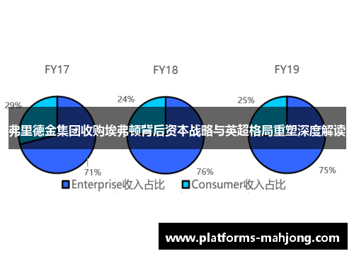 弗里德金集团收购埃弗顿背后资本战略与英超格局重塑深度解读
