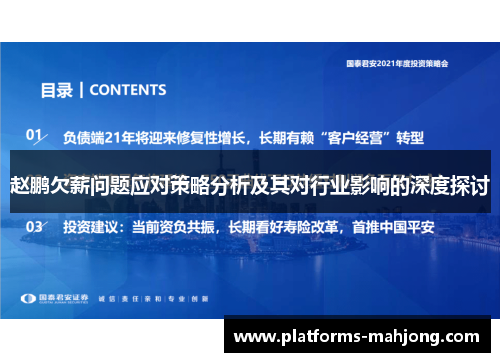 赵鹏欠薪问题应对策略分析及其对行业影响的深度探讨 赵鹏欠薪问题应对策略分析及其对行业影响的深度探讨