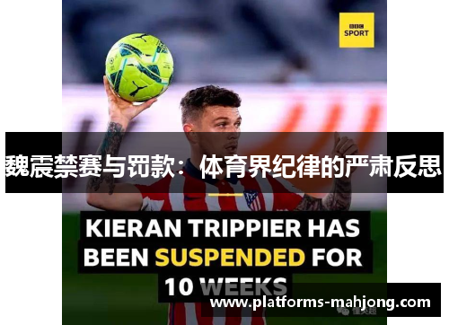 魏震禁赛与罚款:体育界纪律的严肃反思 魏震禁赛与罚款:体育界纪律的严肃反思